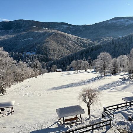 Romanka Zabnica Экстерьер фото