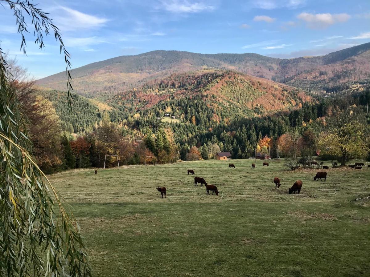 Romanka Zabnica Экстерьер фото